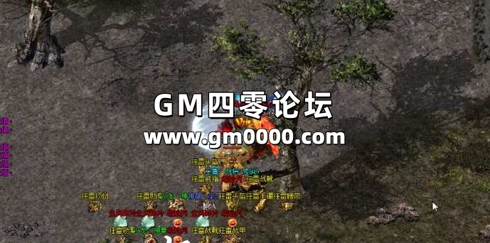 d1.jpg
