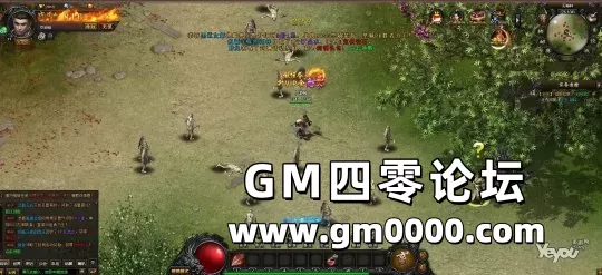 d3.jpg