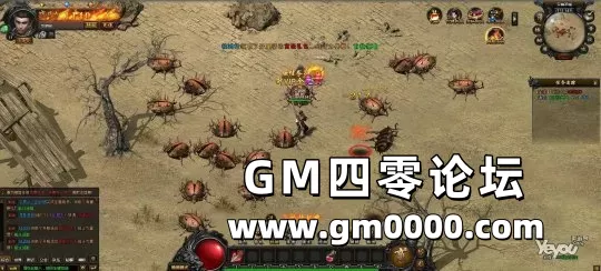 d4.jpg