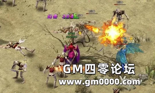 d4.jpg