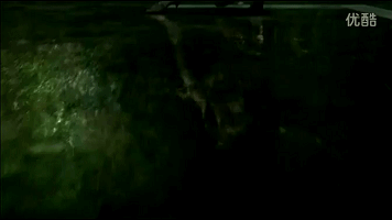 d15.gif