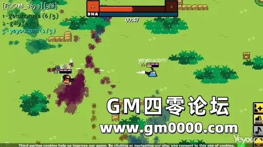 d4.jpg