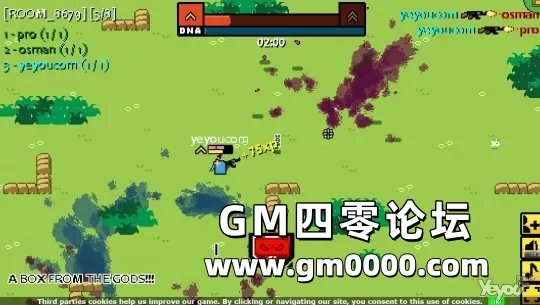 d9.jpg