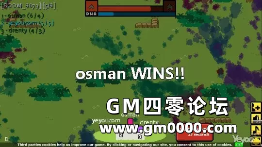 d11.jpg
