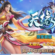 天缘雷霆微变二合一版_暗月幽林[GOM引擎]