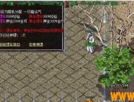 GOM引擎完美无措的押镖脚本-完整版