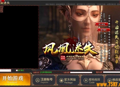 GOM登陆器皮肤-凤凰迷失-GOM无水印漂亮皮肤