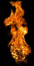 14441T147-43.png.jpg