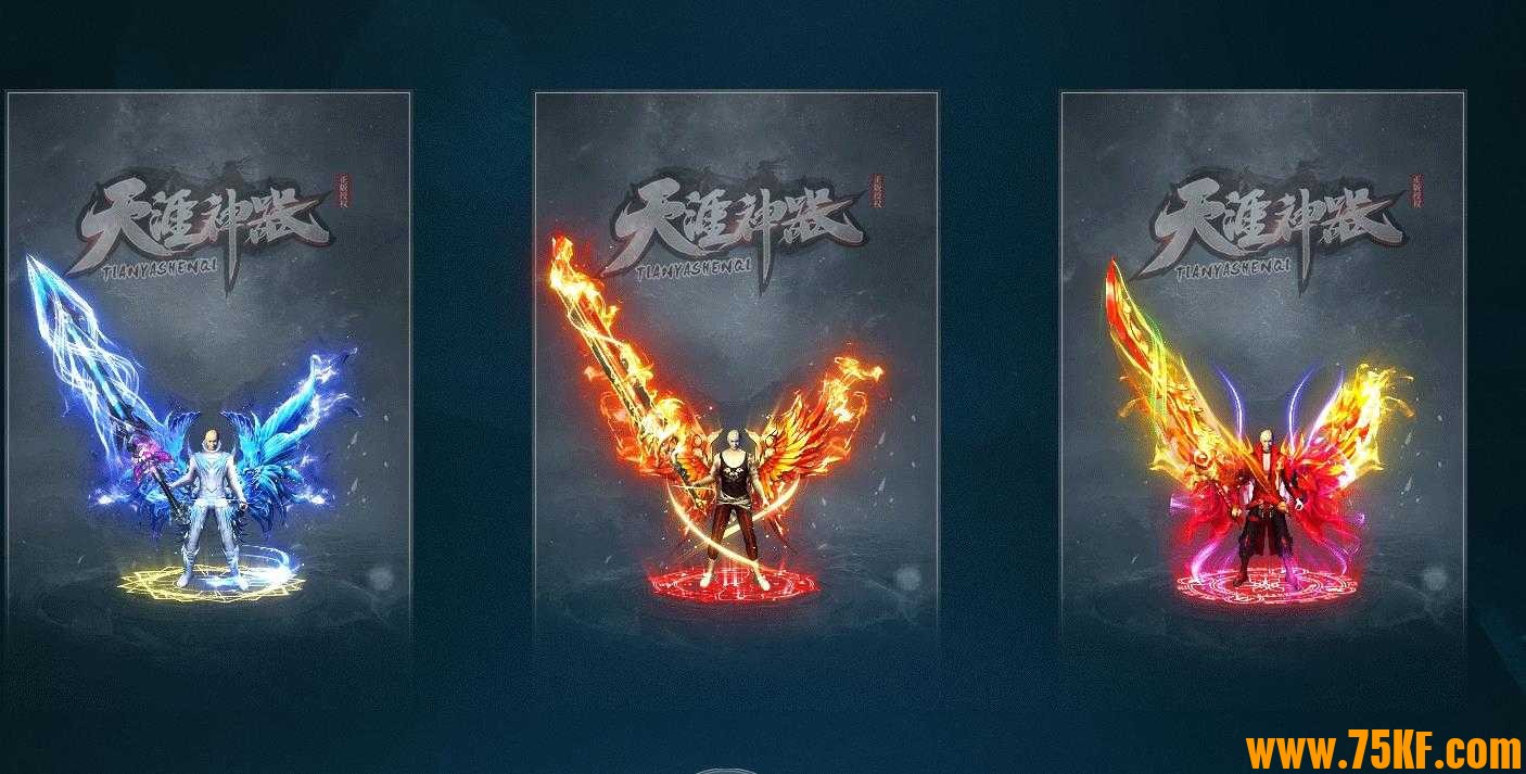天涯神器专属单职业版-雷风道魁【GOM引擎】