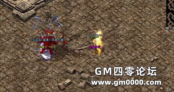 d1.jpg
