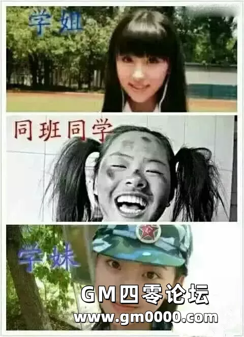 d19.jpg
