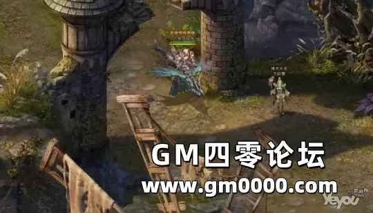 d5.jpg