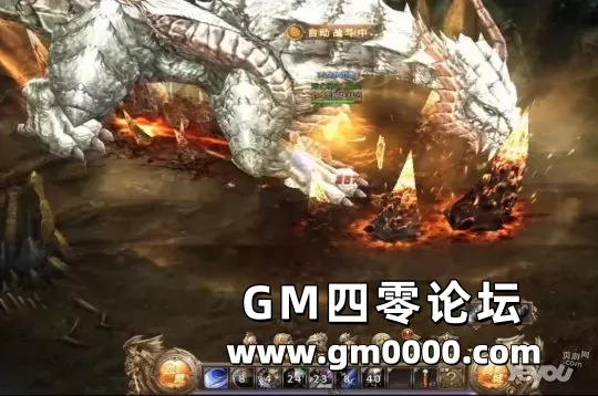 d6.jpg