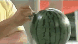 d6.gif