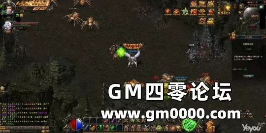 d4.jpg