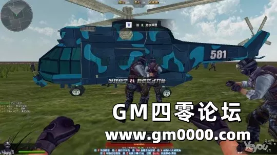 d4.jpg