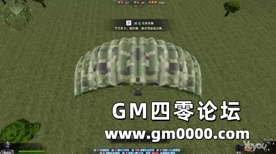 d6.jpg