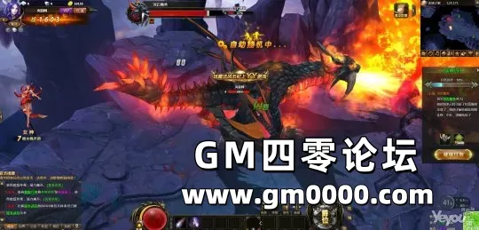 d6.jpg