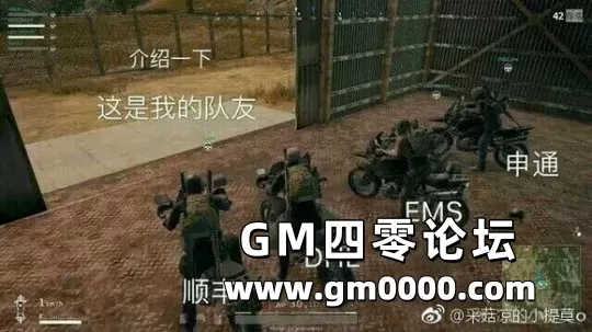 d4.jpg
