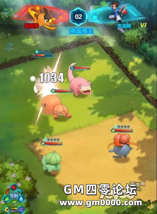 d5.jpg