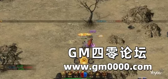 d5.jpg