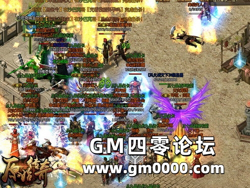 d7.jpg