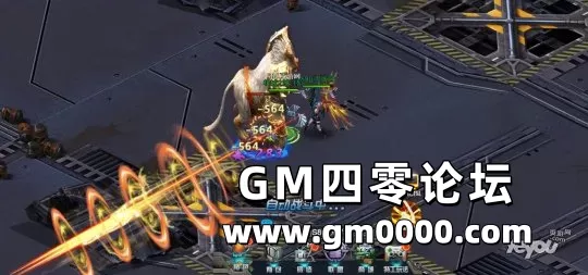 d11.jpg