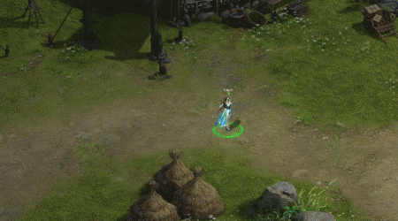 d11.gif