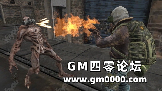 d5.jpg