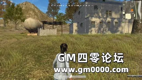 d9.jpg