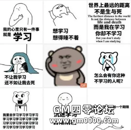 d14.jpg