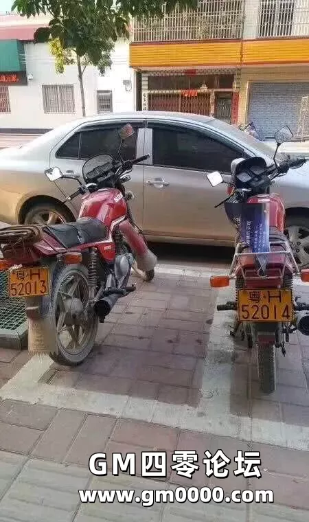 d10.jpg