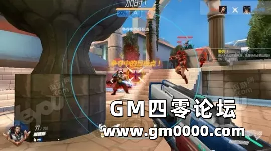d5.jpg