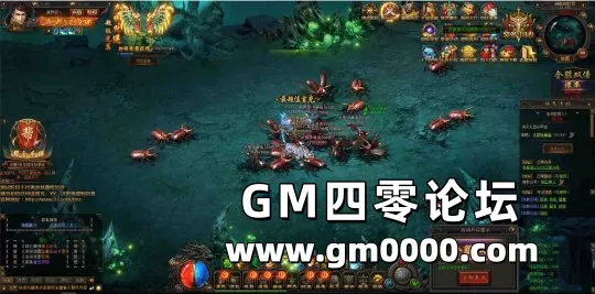 d4.jpg
