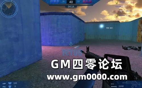 d5.jpg