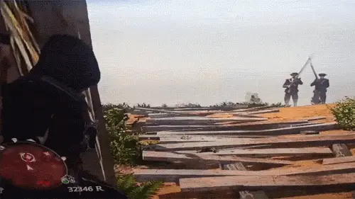 d12.gif