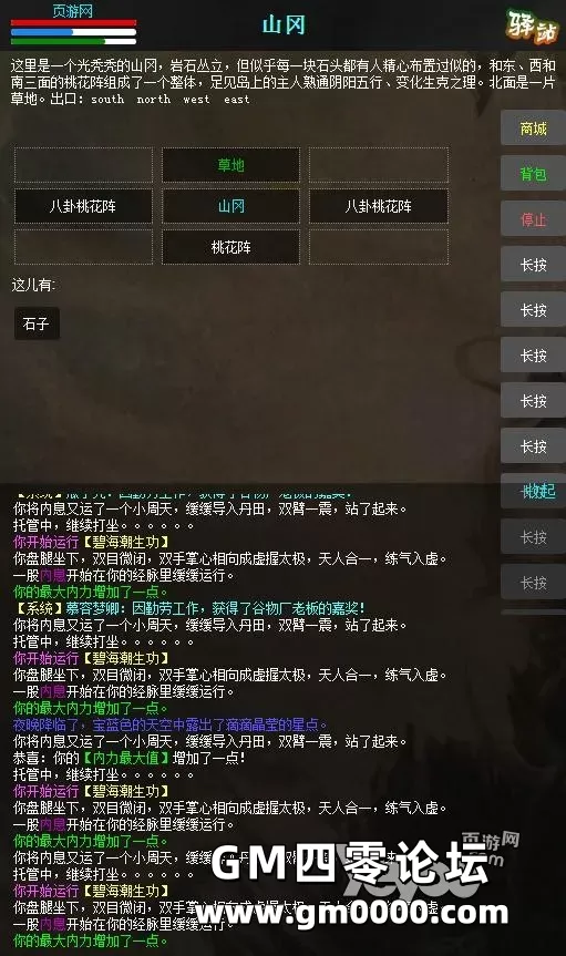 d11.jpg