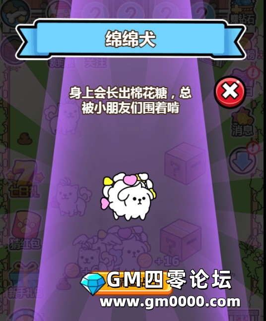 d8.jpg