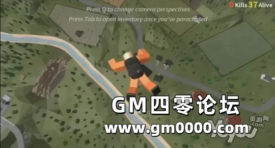d19.jpg