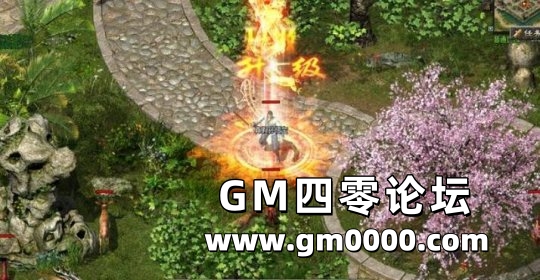 d5.jpg