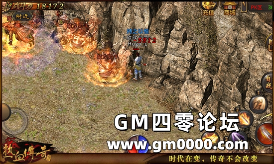 d3.jpg