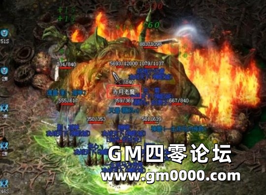d5.jpg