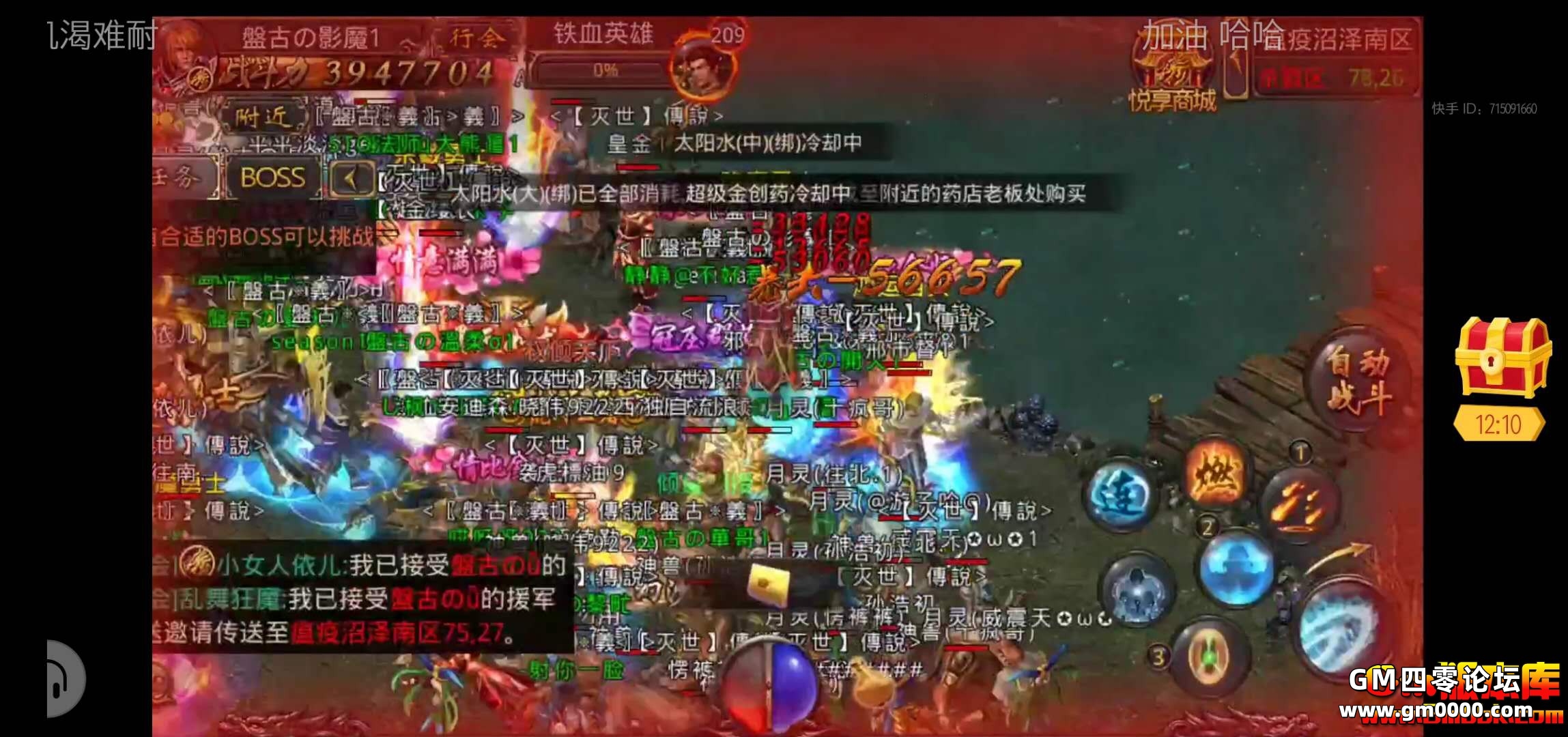 d1.jpg