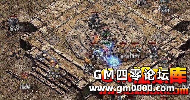d5.jpg