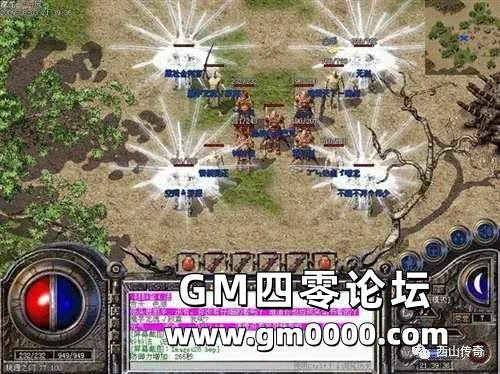 d3.jpg