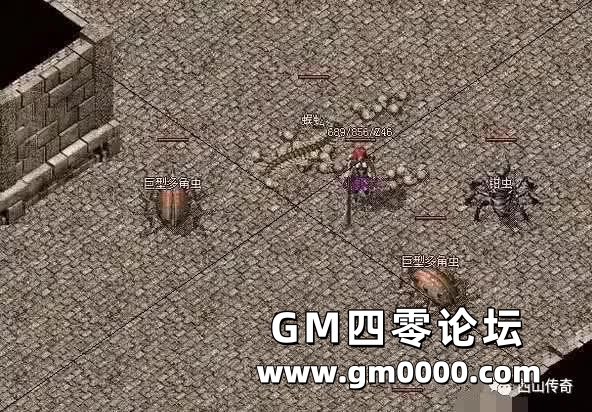 d3.jpg