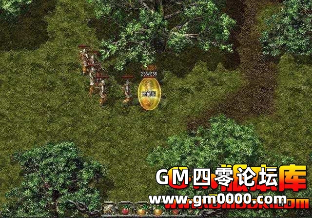 d5.jpg