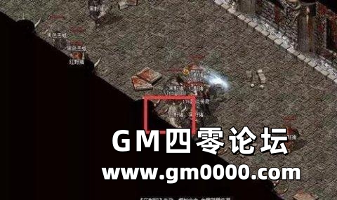 d5.jpg