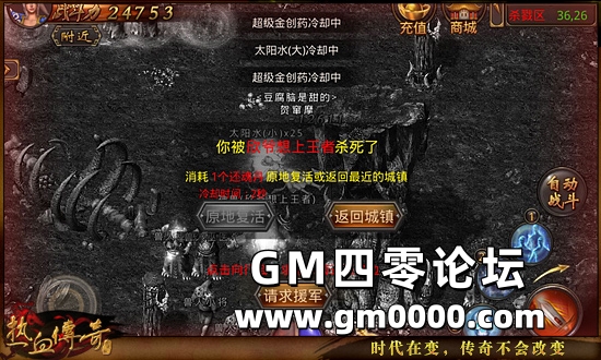 d5.jpg