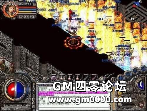 d3.jpg
